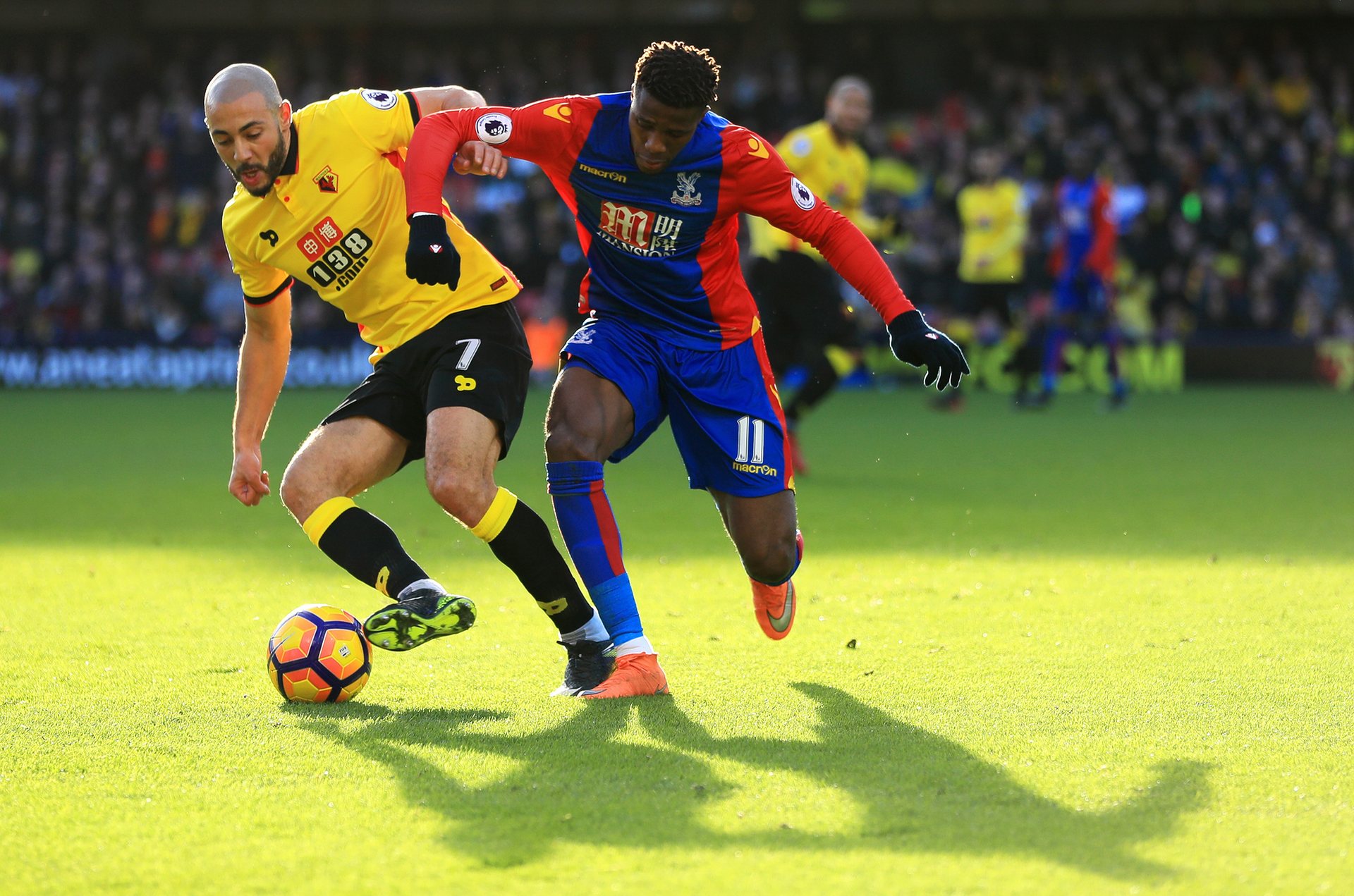 色上的安排 色上的安排