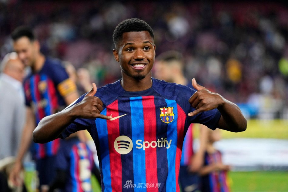 新加坡羽毛 新加坡羽毛